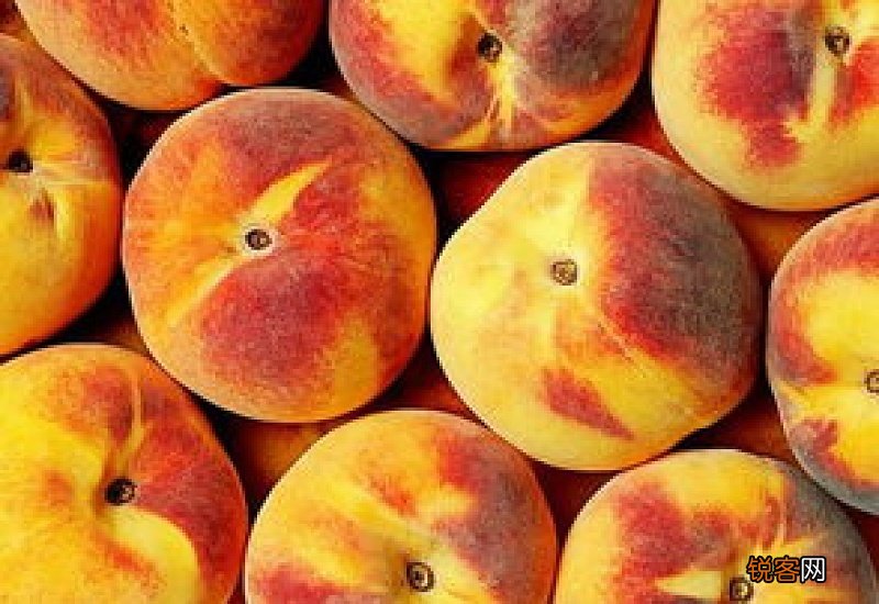 桃子是热性还是凉性水果 桃子有什么营养