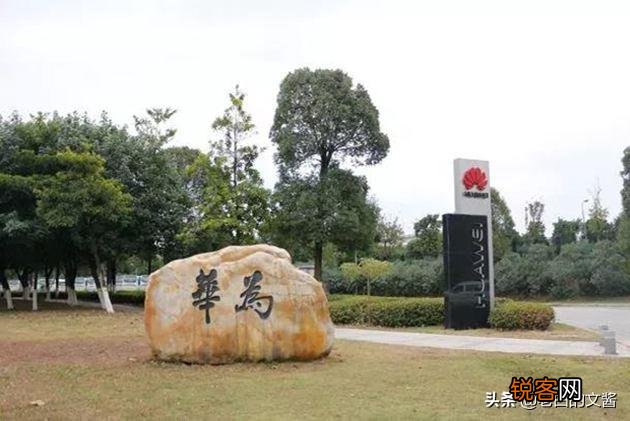 为什么当初华为将数据中心业务从深圳迁至东莞？