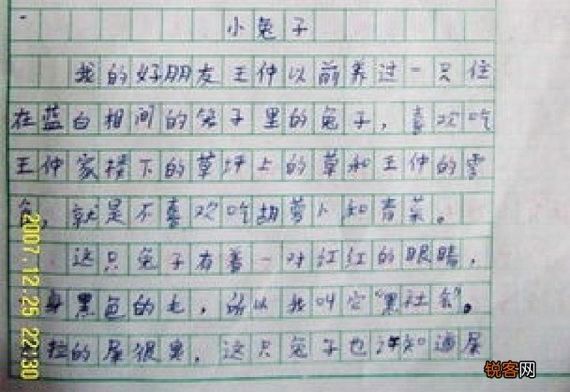 我心爱的小猫,可爱的小动物作文300字