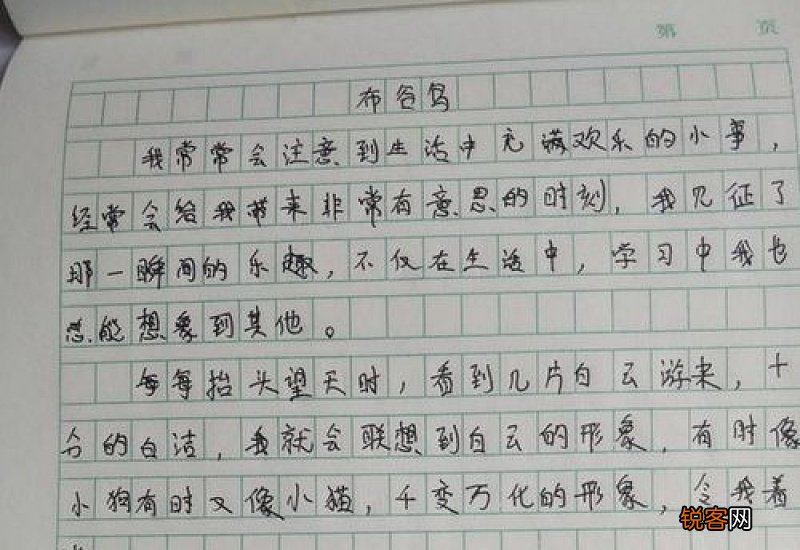 我的新书包,小学生状物作文