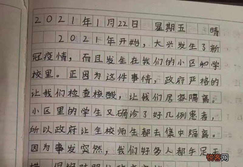 新书包驾到作文,小学生作文