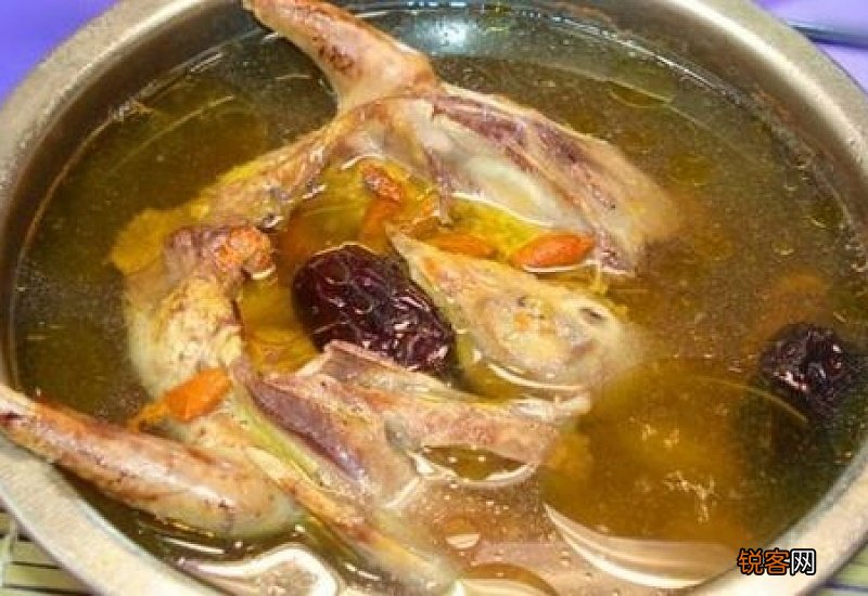 鸽子肉的功效与禁忌