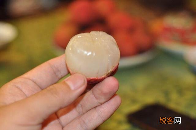 东莞哪里的龙眼荔枝比较出名？