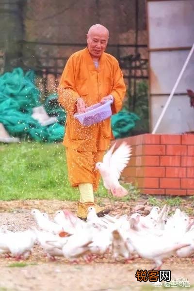 东莞怎么样？