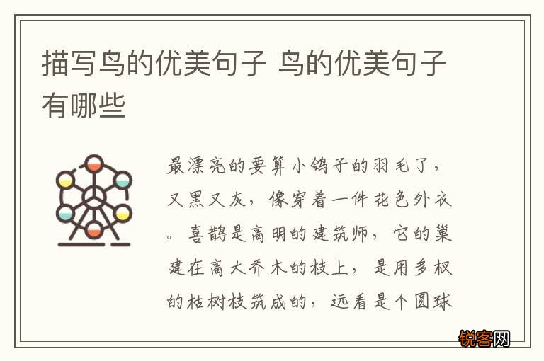 描写鸟的优美句子 鸟的优美句子有哪些