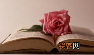 描写鸟的优美句子 鸟的优美句子有哪些