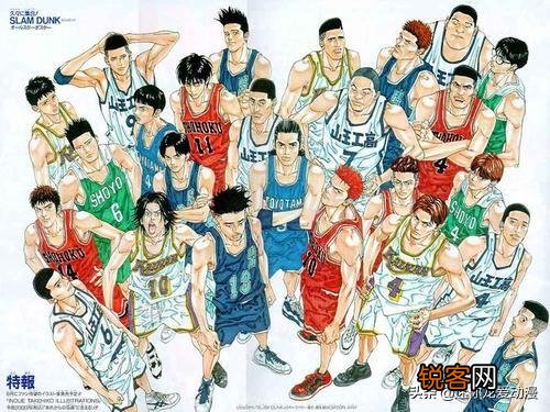 请问以《灌篮高手》中出现的人物组建日本u19篮球队,会有哪些人入选？樱木花道无主角光环能不能打首发？