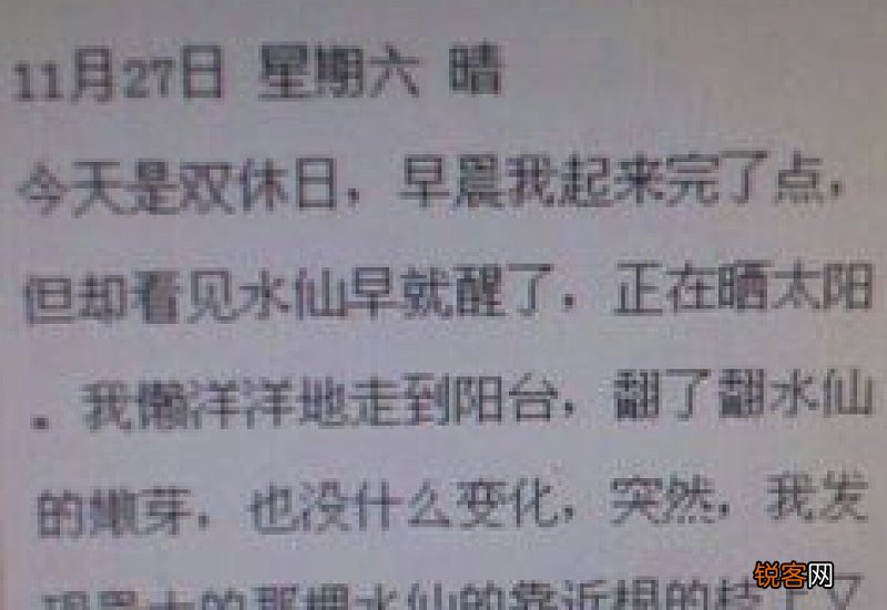 五年级妇女节日记150字