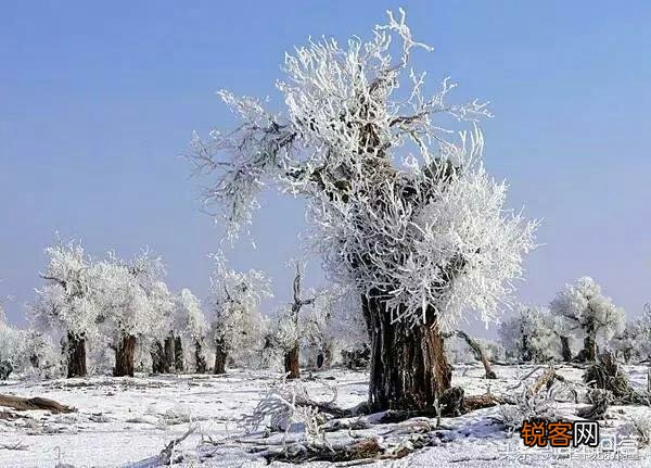 小雪节气到,吃什么养生？有什么习俗？
