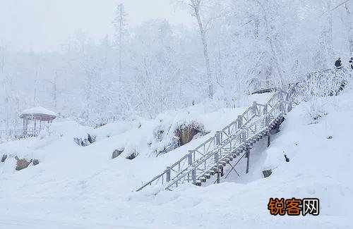 你知道小雪节气的诗吗？