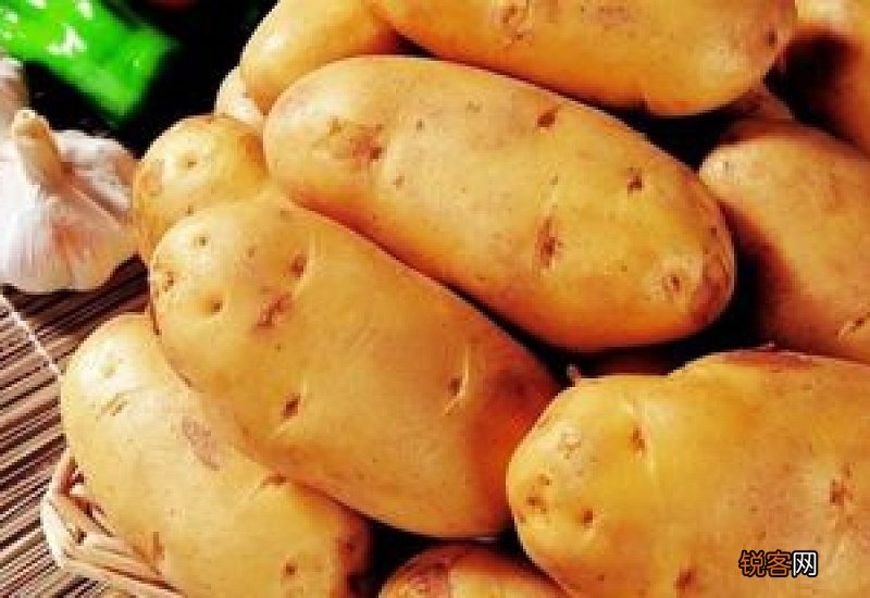 土豆能不能放冰箱保鲜