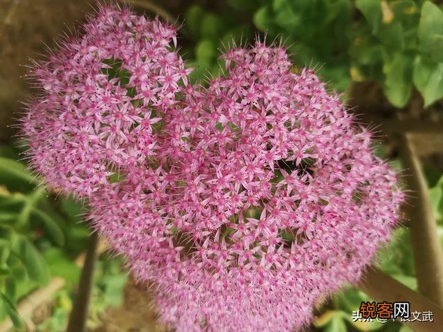 今天我们组,收到银行催款一千二百五。贷款人是七十年代的生产队长,这合理吗？