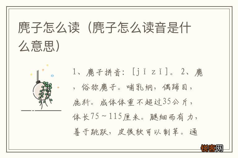 麂子怎么读音是什么意思 麂子怎么读