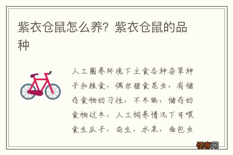 紫衣仓鼠怎么养？紫衣仓鼠的品种