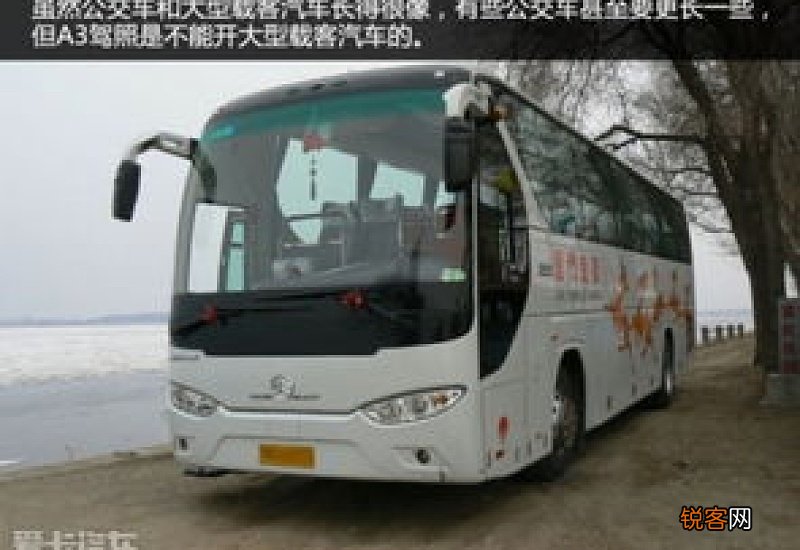 b2驾照可以开什么车
