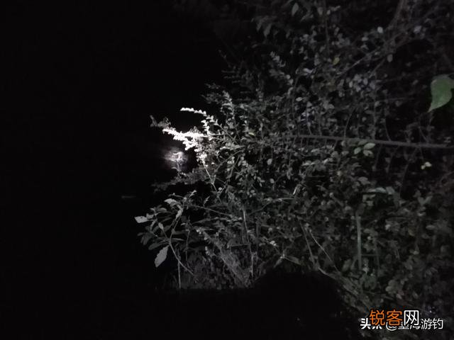 你夜钓的时候遇到过诡异的事吗？