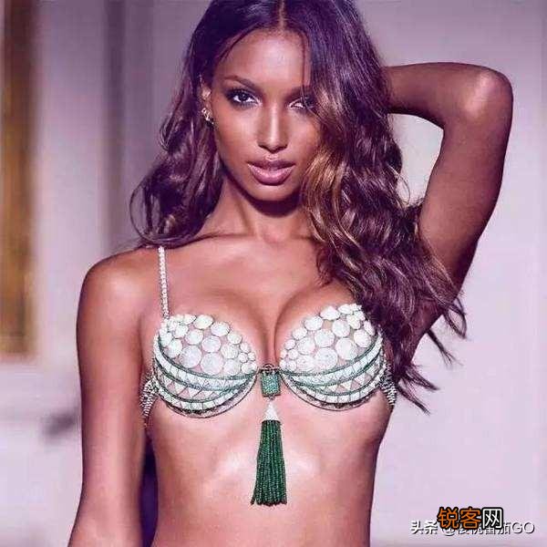 维密的梦幻文胸都有哪些维密天使佩戴过呢？