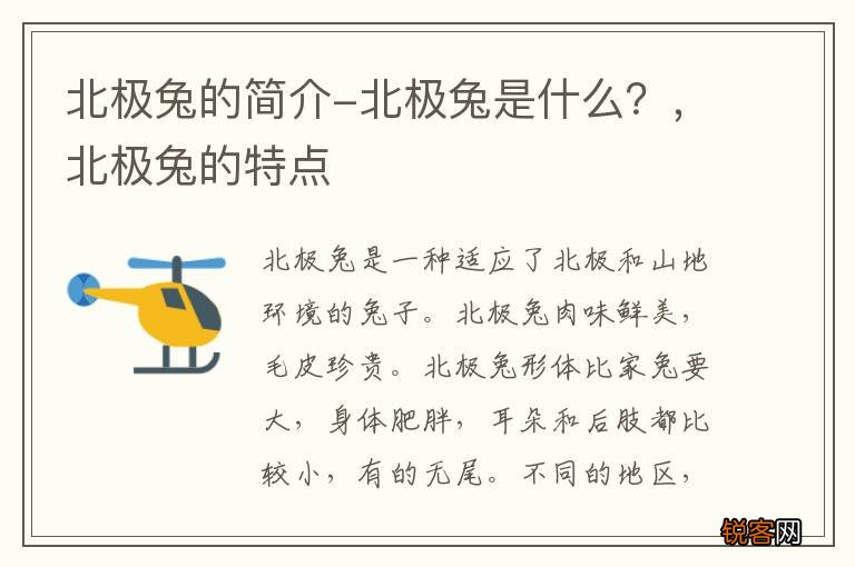 北极兔的简介-北极兔是什么？，北极兔的特点