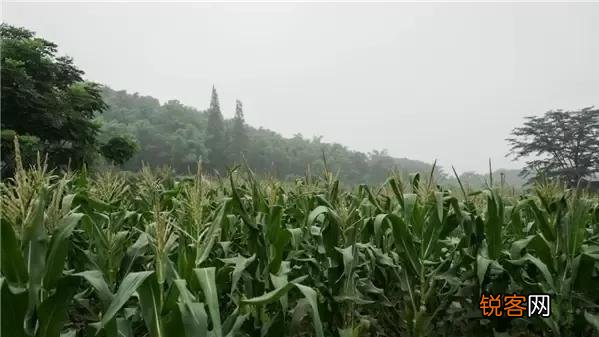 有什么细思极恐的神秘失踪案？失踪人究竟是死是活？