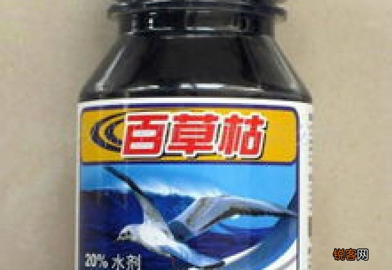 狗吃了百草枯能活多久