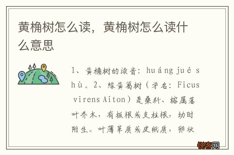 黄桷树怎么读，黄桷树怎么读什么意思