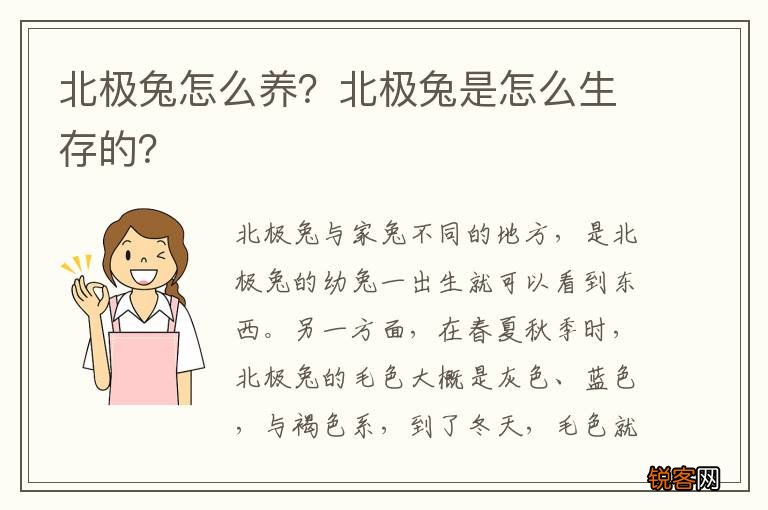 北极兔怎么养？北极兔是怎么生存的？