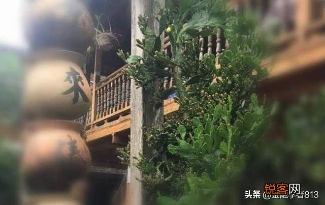 你们碰到过哪些诡异却无法用科学解释的事或人？