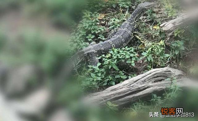你们碰到过哪些诡异却无法用科学解释的事或人？