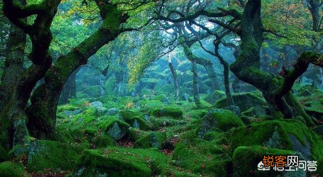 或住宾馆 在外面旅游你们遇到最诡异（或恐怖）的经历是什么？