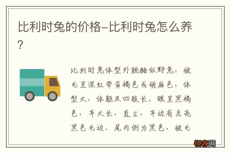 比利时兔的价格-比利时兔怎么养？