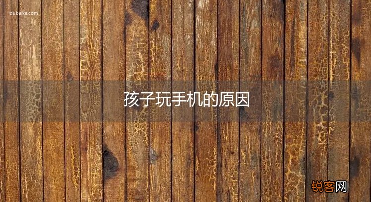 孩子玩手机的原因