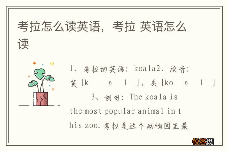 考拉怎么读英语，考拉 英语怎么读