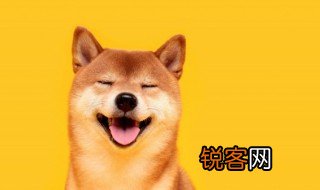 描写笑的句子 描写笑的句子精选