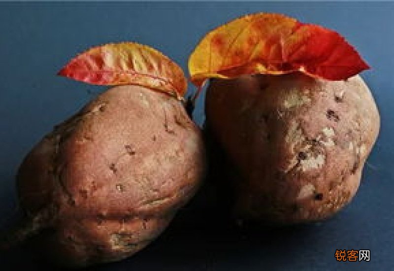 桃胶可以空腹吃吗 给肠胃造成消化负担