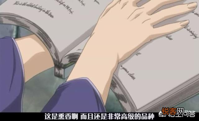 b站上好看的bl动漫？