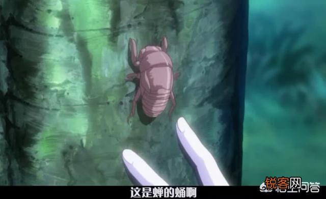 b站上好看的bl动漫？
