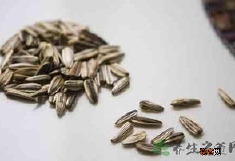 葵瓜子的功效与作用及禁忌