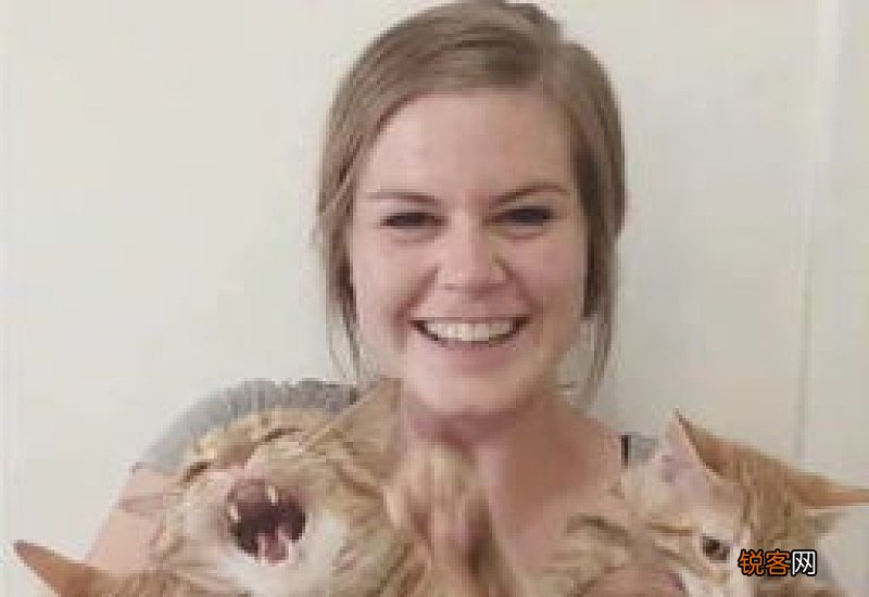 家里几只猫同时呕吐