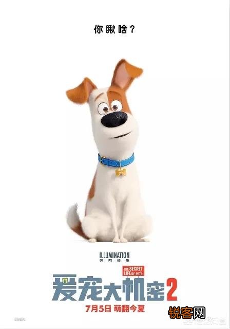 2019年7月都有哪些电影上映？你最期待哪部？