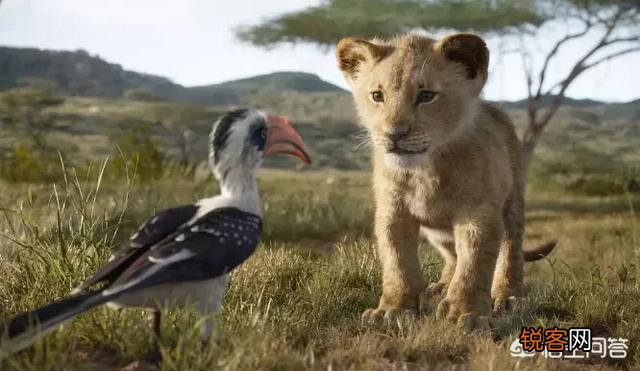 2019年7月都有哪些电影上映？你最期待哪部？