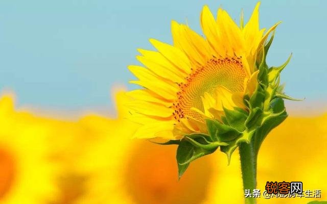 无论是电影还是电视剧,你心目中最认可的实力派演员有哪些？为什么？
