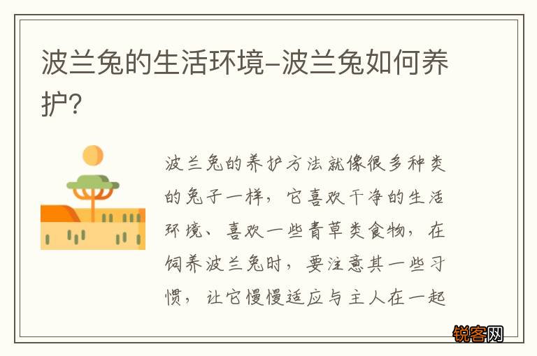 波兰兔的生活环境-波兰兔如何养护？