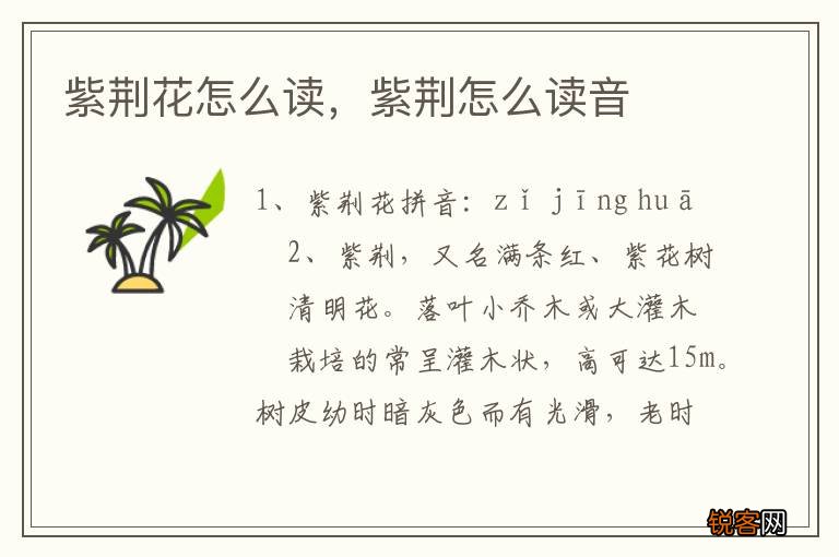 紫荆花怎么读，紫荆怎么读音