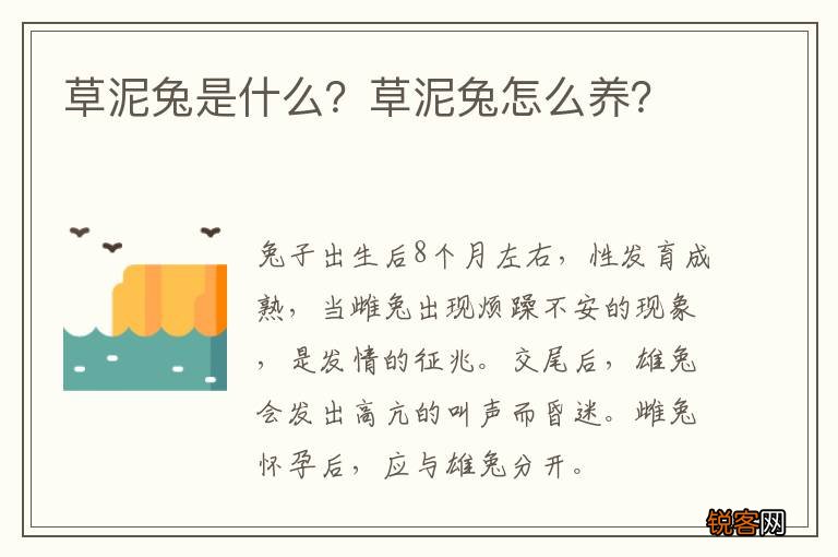 草泥兔是什么？草泥兔怎么养？