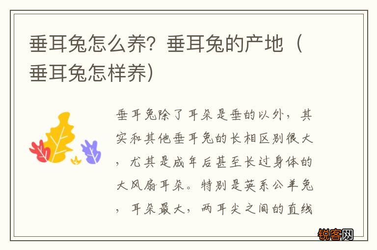 垂耳兔怎样养 垂耳兔怎么养？垂耳兔的产地