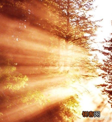 遇到无知且无畏的领导该怎么办？