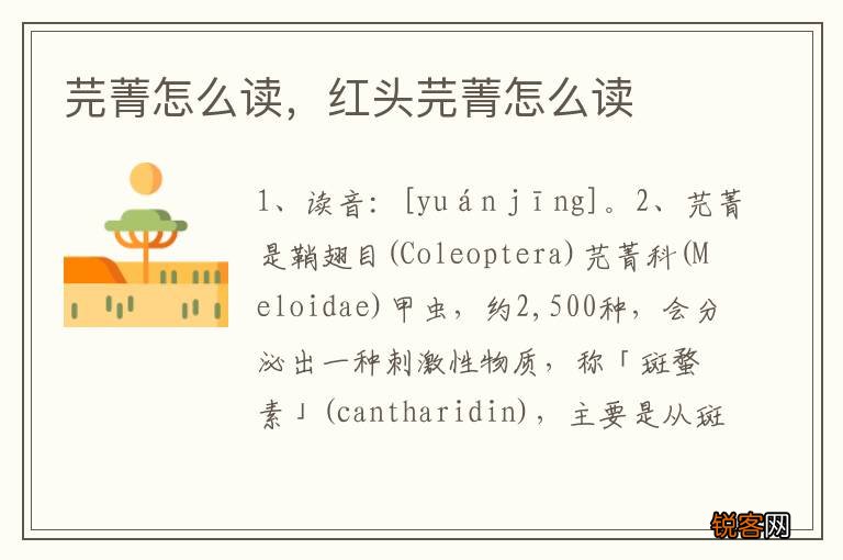 芫菁怎么读，红头芫菁怎么读