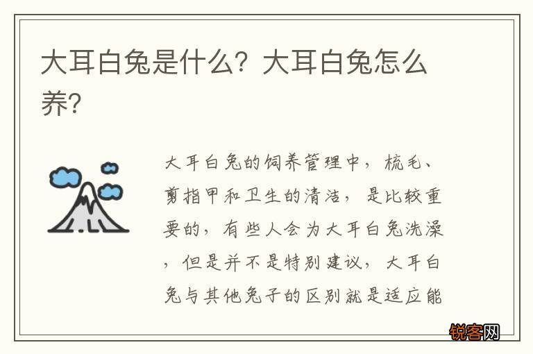 大耳白兔是什么？大耳白兔怎么养？