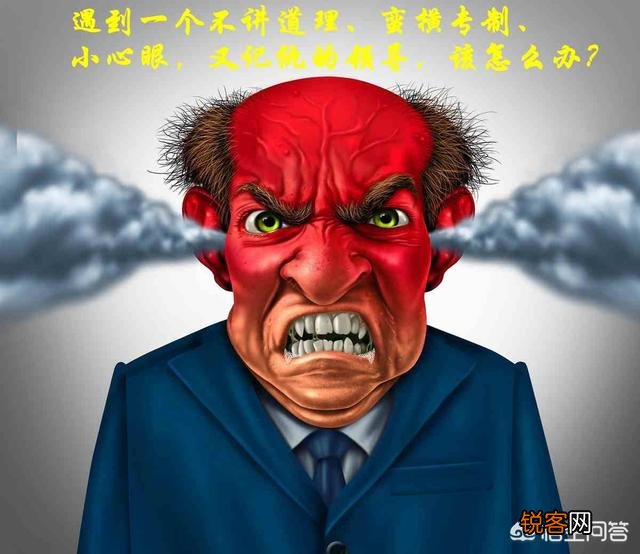 如果遇到一个不讲道理,蛮横专制,而且还小心眼,又记仇的领导该怎么办？