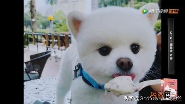 十佳演技实力派影视明星评选投票,你会投给谁？理由是什么？